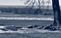 Gettysburg Battle Field